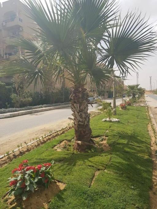 With Garden And Parking Apartment *